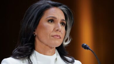 US National Intelligence Director Tulsi Gabbard will visit India