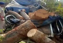 Mazda vehicle loaded with wood overturned in Raigarh, driver died on the spot; cleaner injured