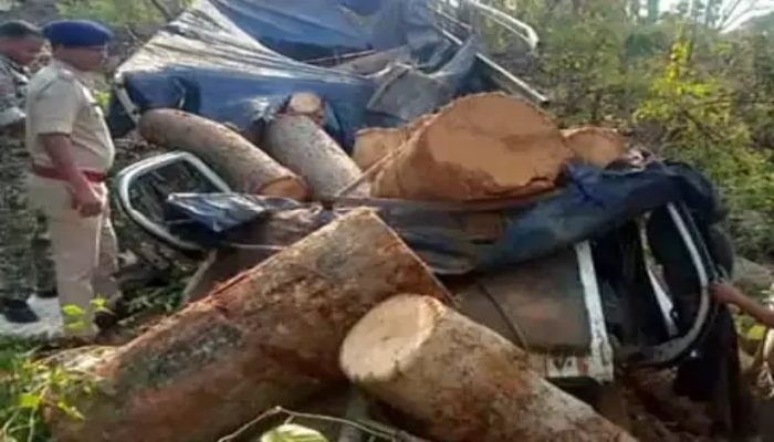 Mazda vehicle loaded with wood overturned in Raigarh, driver died on the spot; cleaner injured