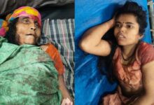 Mother refused to give Rs 200 to buy a dog, son killed her by hitting her on the head with a hammer