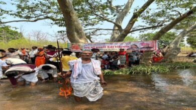 The court of Maa Bhramari Devi in ​​the forests of Bhanwardah, devotees are worshiping by reaching through the forest route