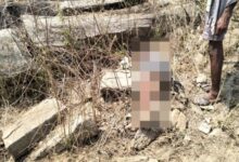 76-year-old man dies in elephant attack, did not heed forest department's warning