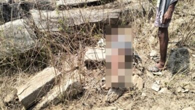 76-year-old man dies in elephant attack, did not heed forest department's warning