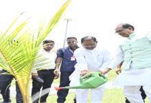 Unique initiative for environmental protection in Nava Raipur: Chief Minister and Union Minister planted coconut saplings