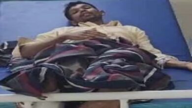 A young man who went to pluck tendu leaves was attacked by a female bear, seriously injured