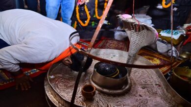 Home Minister Vijay Sharma took the blessings of Bhoramdev Baba
