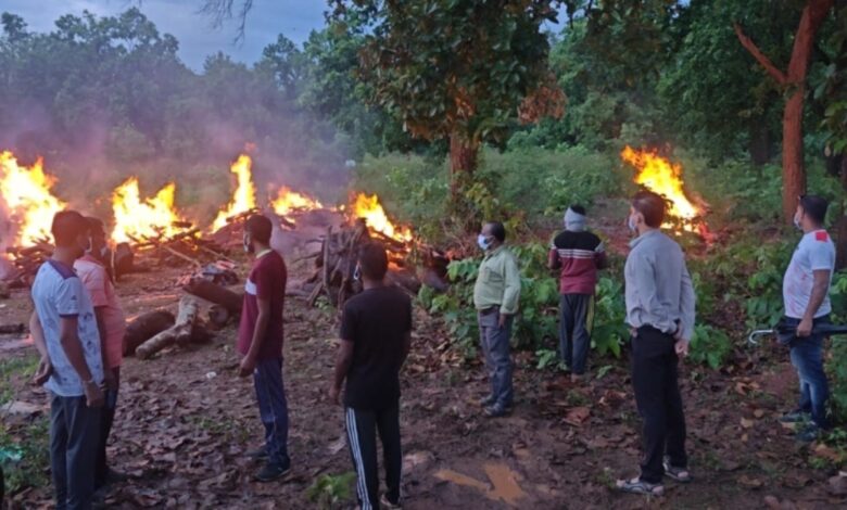 Police cremated the bodies of 8 Naxalites including Basavaraju, weapons looted from Tadmetla were also recovered