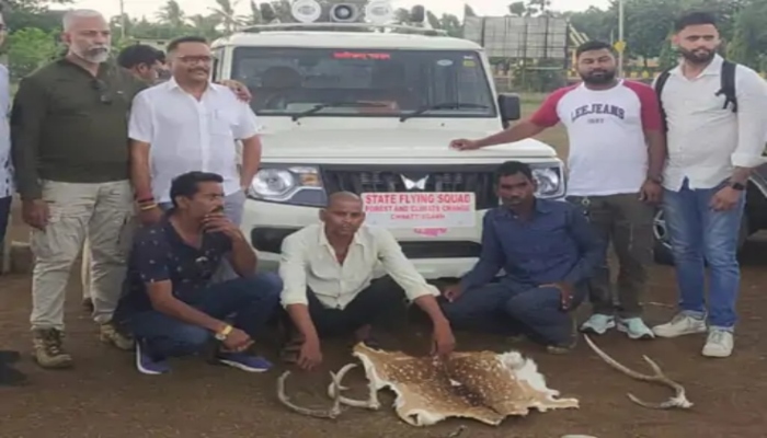 छत्तीसगढ़ में तंत्र-मंत्र के लिए हिरण का शिकार और तस्करी जारी, रायपुर में बड़ी कार्रवाई