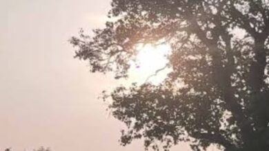 बारिश और बर्फबारी का कहर: मिजोरम, सिक्किम, श्रीनगर में तबाही, कई इलाकों में अलर्ट
