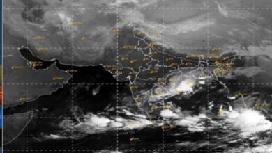 Weather changed in Chhattisgarh: Temperature of all cities including Raipur dropped by 5 to 9 degrees