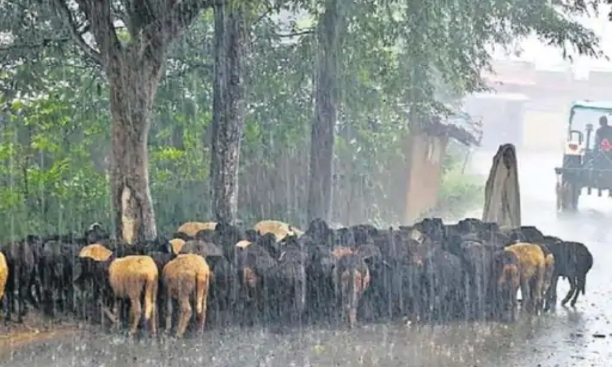देशभर में मानसून ने पकड़ी रफ्तार: राजस्थान-UP में एंट्री की संभावना, गुजरात में भारी तबाही