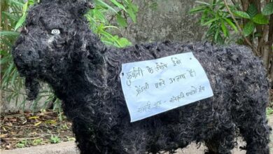 बकरीद से पहले MP में कुर्बानी को लेकर विवाद, इको-फ्रेंडली बकरे से लेकर पंचायत की रोक तक बढ़ा तनाव
