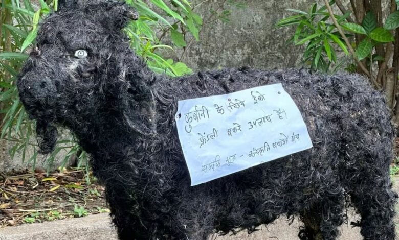 बकरीद से पहले MP में कुर्बानी को लेकर विवाद, इको-फ्रेंडली बकरे से लेकर पंचायत की रोक तक बढ़ा तनाव