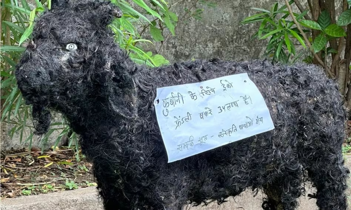 बकरीद से पहले MP में कुर्बानी को लेकर विवाद, इको-फ्रेंडली बकरे से लेकर पंचायत की रोक तक बढ़ा तनाव
