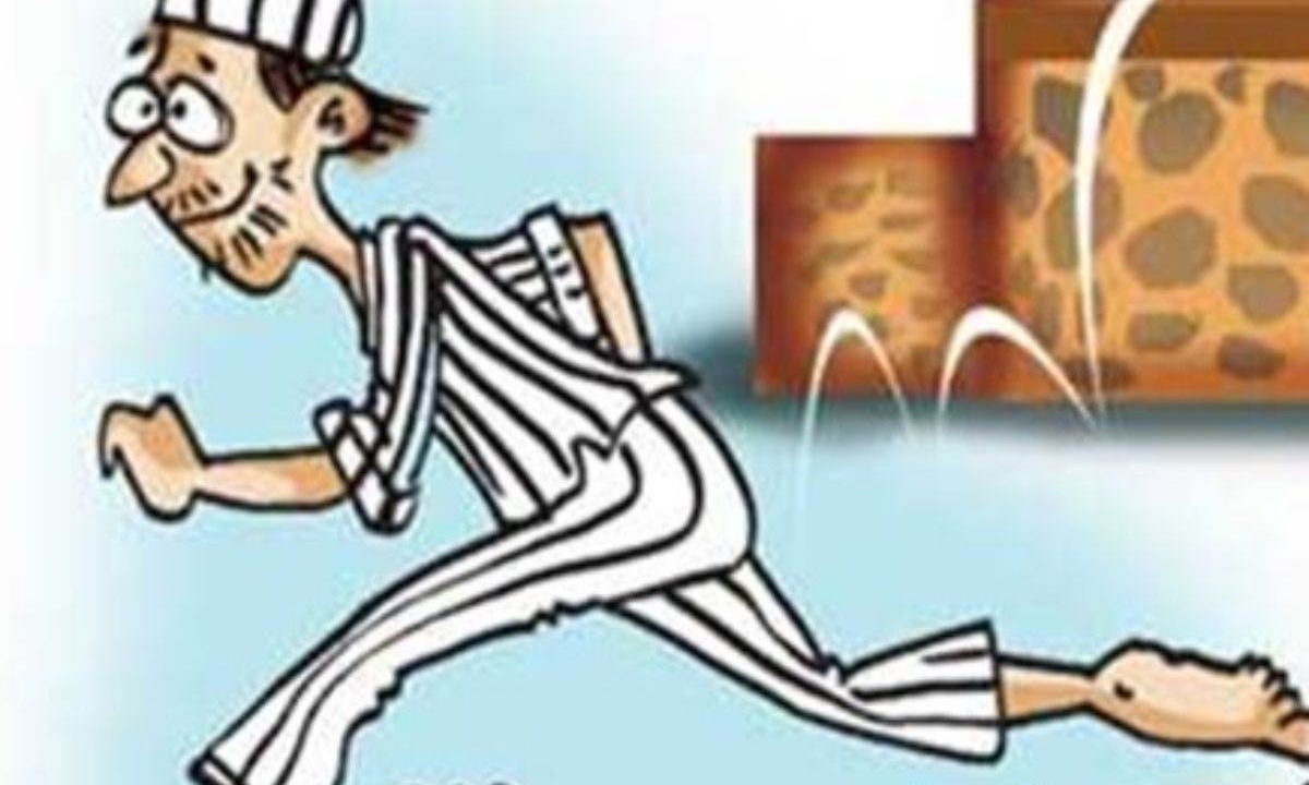 सेंट्रल जेल से 22 फीट दीवार फांदकर फरार हुआ कैदी, कुछ घंटों में दोबारा पकड़ा गया