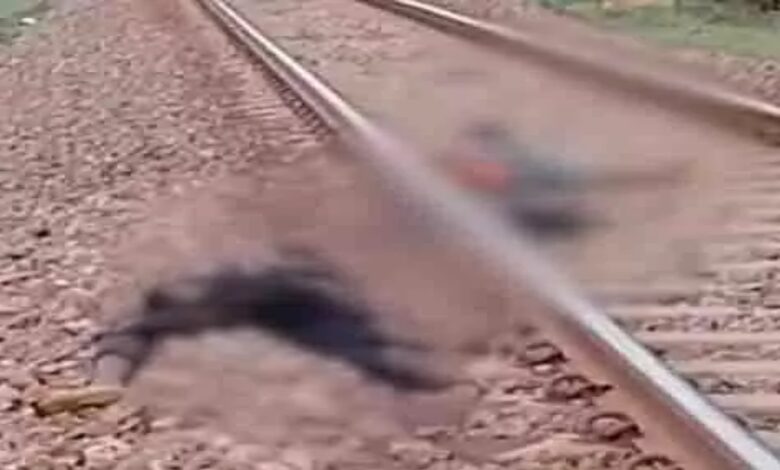 नींद में रेलवे पटरी पर सोए मजदूर, ट्रेन की चपेट में आने से दो की मौत, दो घायल