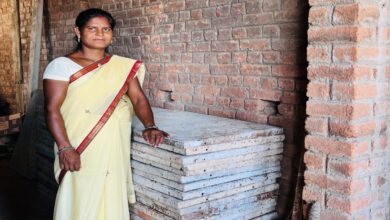 छत्तीसगढ़ में महिला सशक्तिकरण की मिसाल बनीं लालमती, सरकारी योजनाओं की मदद से बनी कारोबारी