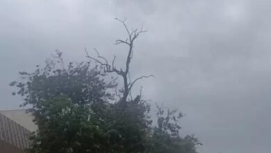Yellow alert issued in Chhattisgarh, child dies due to lightning, Rajnandgaon is the hottest