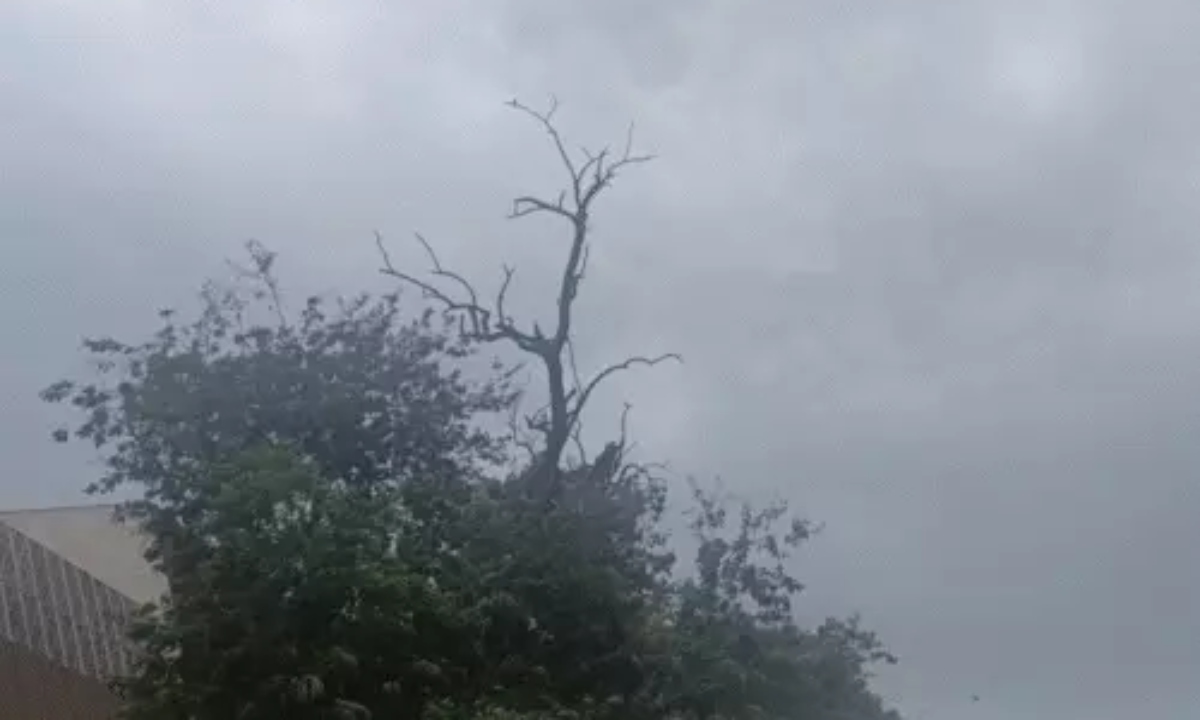 Yellow alert issued in Chhattisgarh, child dies due to lightning, Rajnandgaon is the hottest