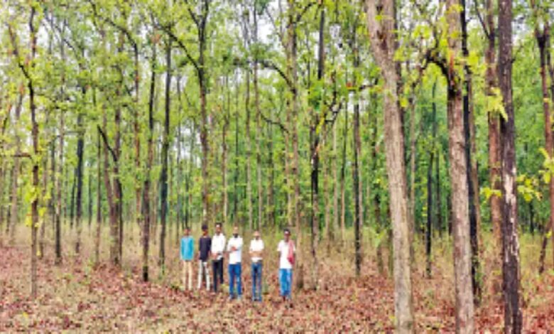 जंगल की रक्षा में मिसाल बने छत्तीसगढ़ के गांव: ग्रामीणों ने बचाई 200 एकड़ हरियाली; खुद के खर्च पर तैनात किए चौकीदार