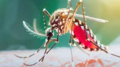 Big success of malaria control in Bastar: 72 percent decline, rate narrowed to 0.46 percent