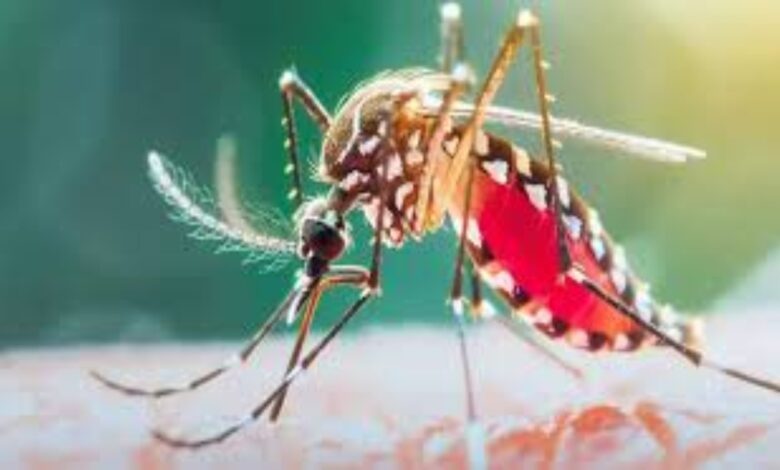 Big success of malaria control in Bastar: 72 percent decline, rate narrowed to 0.46 percent