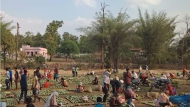 7 crore Tendu leaves scam in Sukma: 12 arrested including DFO, EOW took major action