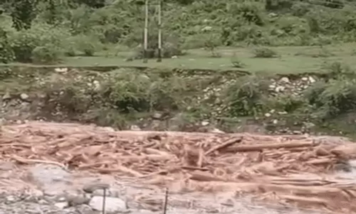 डैम में सैकड़ों टन लकड़ी पहुंचने पर बवाल, वन विभाग ने दी सफाई