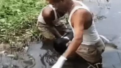 4 friends brutally murdered the young man