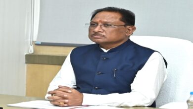 कारीगरों की समृद्धि और कला का सम्मान हमारी प्राथमिकता: सीएम साय