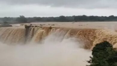 Chhattisgarh's 'Niagara Falls' in full swing: VIDEO of Chitrakote waterfall goes viral, crowd of tourists thronging
