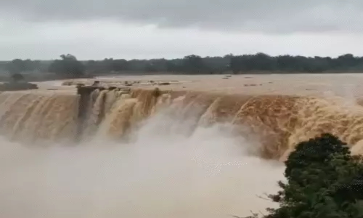 Chhattisgarh's 'Niagara Falls' in full swing: VIDEO of Chitrakote waterfall goes viral, crowd of tourists thronging