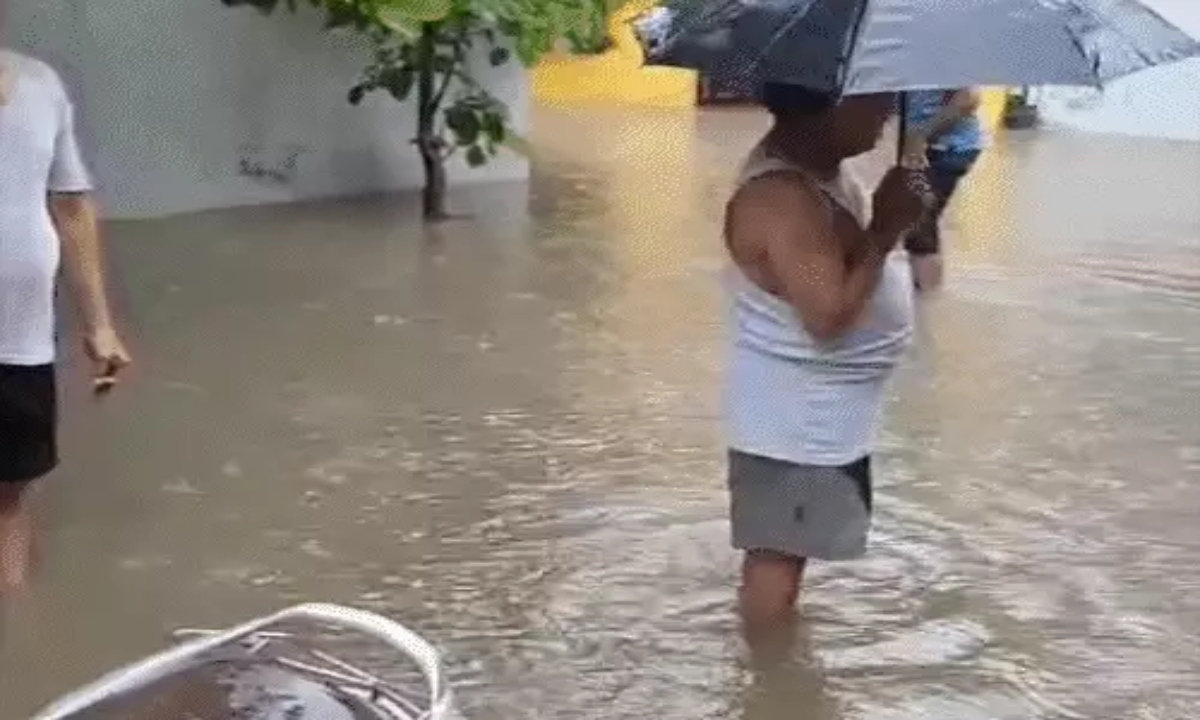 छत्तीसगढ़ में झमाझम बारिश से जनजीवन प्रभावित, बिलासपुर-गरियाबंद में जलभराव, नदी-नाले उफान पर