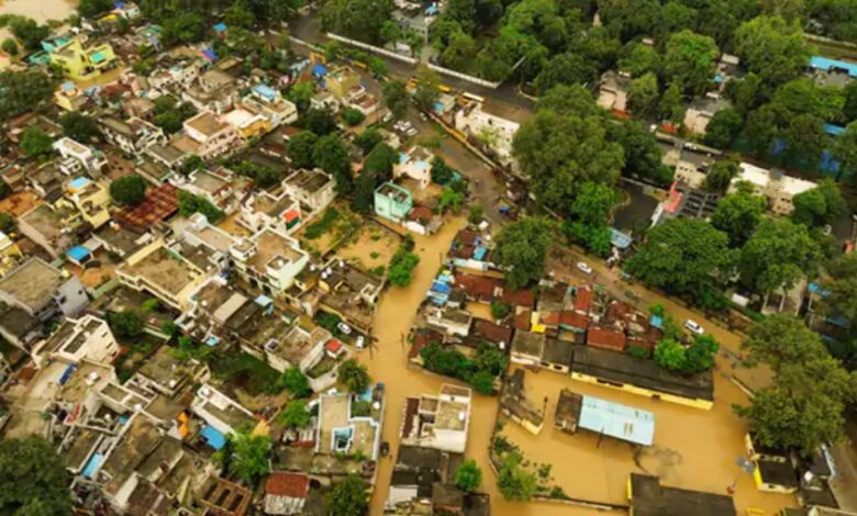छत्तीसगढ़ में तेज बारिश का कहर: रायपुर समेत कई जिलों में जलभराव, खेत डूबे, पुल बहा, रेड अलर्ट जारी