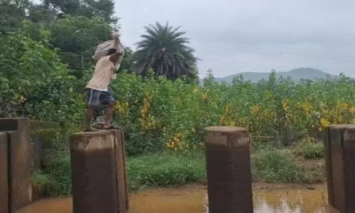 कौशल किशोर अग्रवाल विमल खेतान