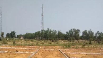 To curb land mafia, Bilaspur collector imposed ban on buying and selling of land