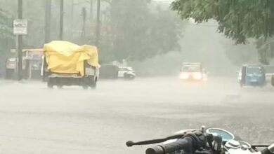 छत्तीसगढ़ में मानसून सक्रिय: रायपुर सहित 17 जिलों में भारी बारिश का अलर्ट, युवक की बिजली गिरने से मौत