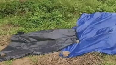 Supreme Court takes strong action on the incident of burning a minor alive in Odisha, says- we are ashamed