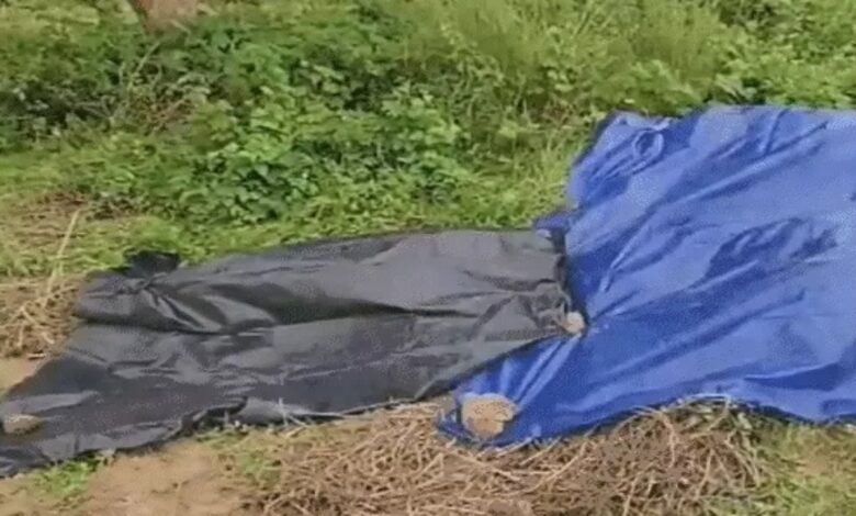 Supreme Court takes strong action on the incident of burning a minor alive in Odisha, says- we are ashamed