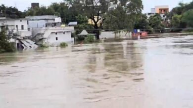 तीन नदियों के पानी से खैरागढ़ बना टापू, दो युवक बहे; 8 जिलों में अलर्ट