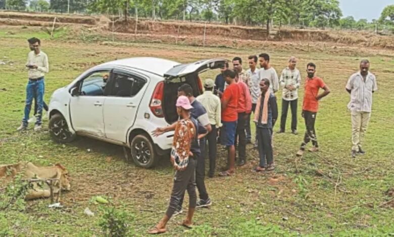 Cow smuggling exposed in Balod: Cows were being transported in a car, 6 accused arrested