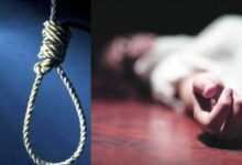 2025 Review: Security forces gain decisive advantage in Bastar, 256 Maoists killed in 100 encounters, 1573 surrender and abandon violence.