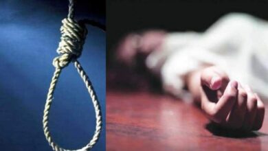 2025 Review: Security forces gain decisive advantage in Bastar, 256 Maoists killed in 100 encounters, 1573 surrender and abandon violence.