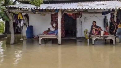 Rain wreaks havoc across the country: Rivers in spate in MP, deaths due to lightning in Jharkhand-Bihar, 2 children drowned in Rajasthan