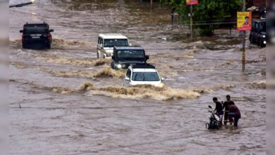 Rain and lightning wreak havoc: 17 deaths in Bihar in 24 hours, loss of Rs 1200 crore in Himachal