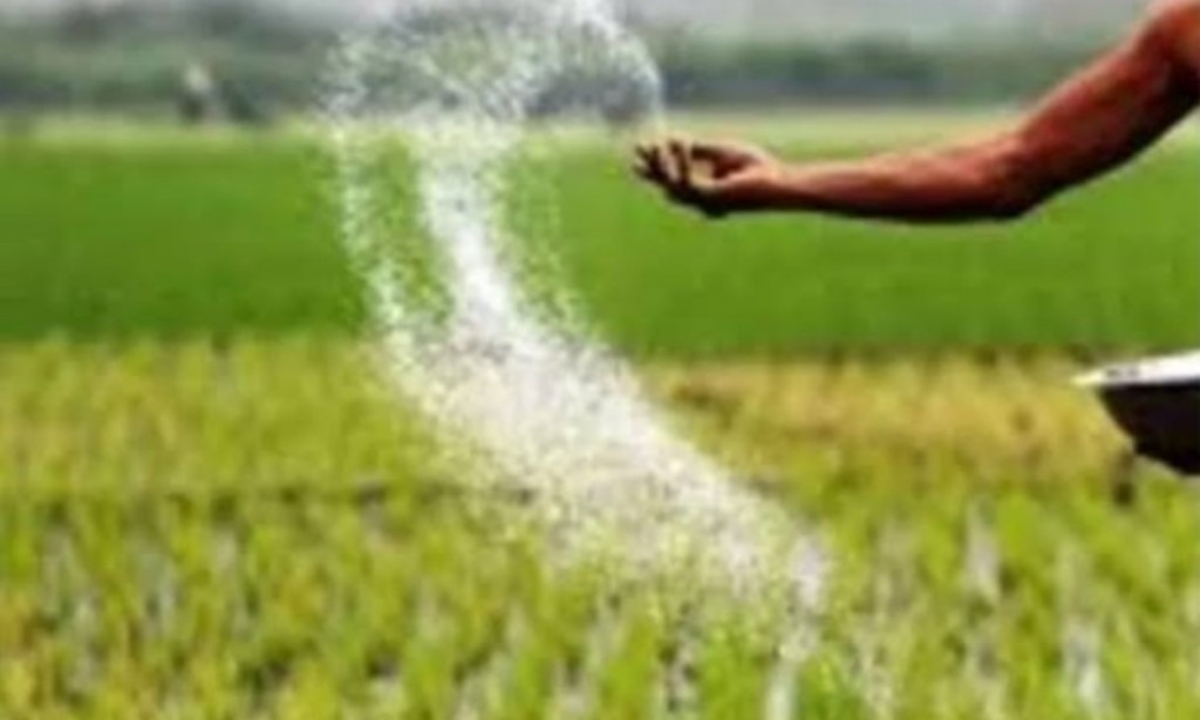 There is sufficient chemical and nano fertilizers in Chhattisgarh, farmers are being made aware