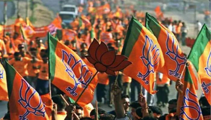 छत्तीसगढ़ बीजेपी में बड़ा फेरबदल… 47 नए पदाधिकारी नियुक्त