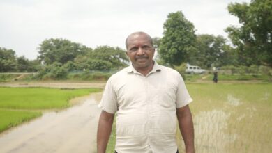 Hopes bloomed after getting fertilizer on time, Santosh's hard work will pay off