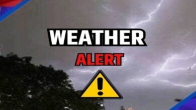 Alert of heavy rain and lightning in Chhattisgarh, it will rain for the next one week