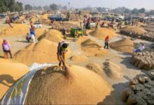 Now the money for paddy purchase will be directly transferred to the farmers account